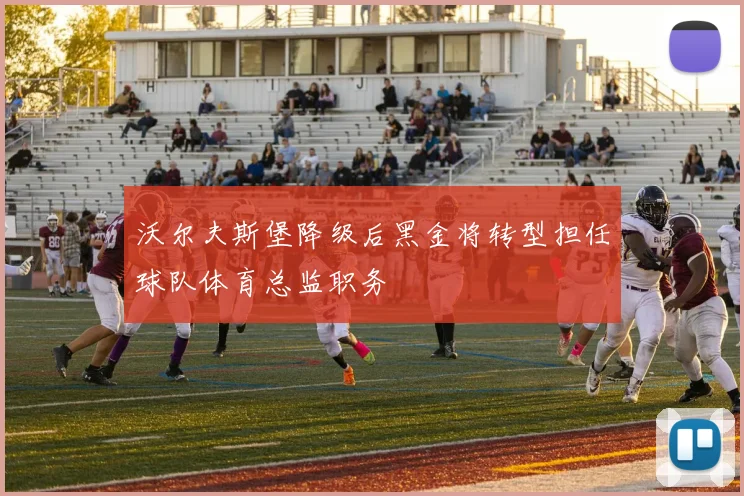 沃尔夫斯堡降级后黑金将转型担任球队体育总监职务