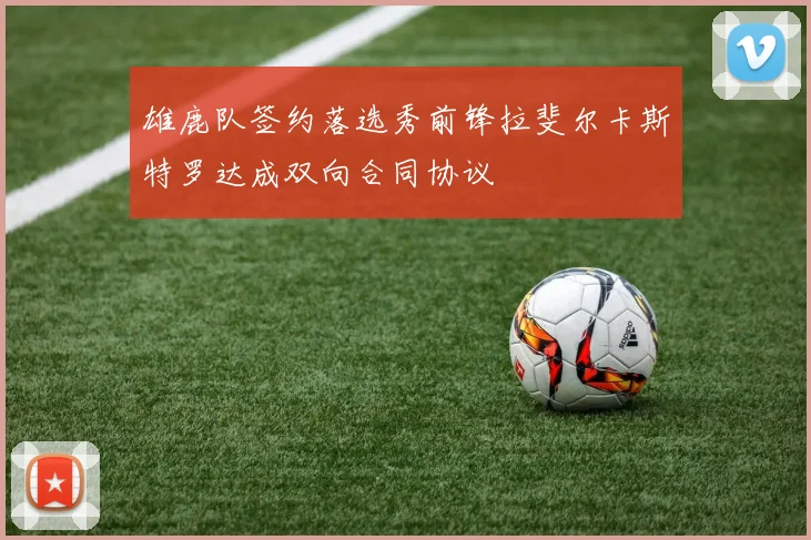 雄鹿队签约落选秀前锋拉斐尔卡斯特罗达成双向合同协议